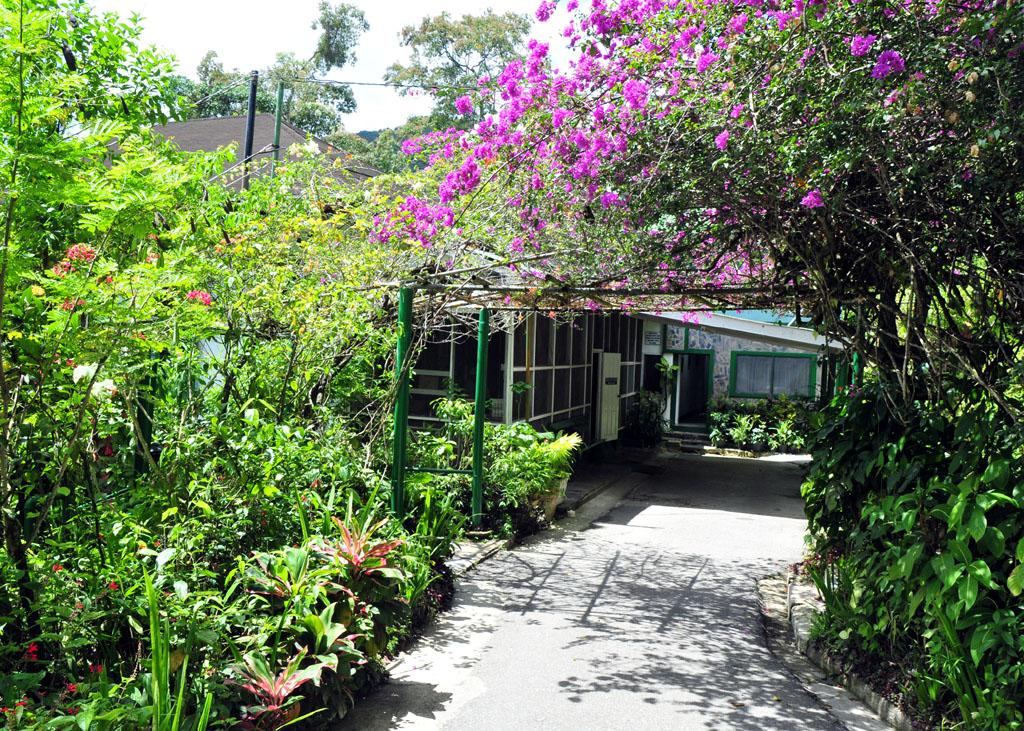 Asa Wright entrance