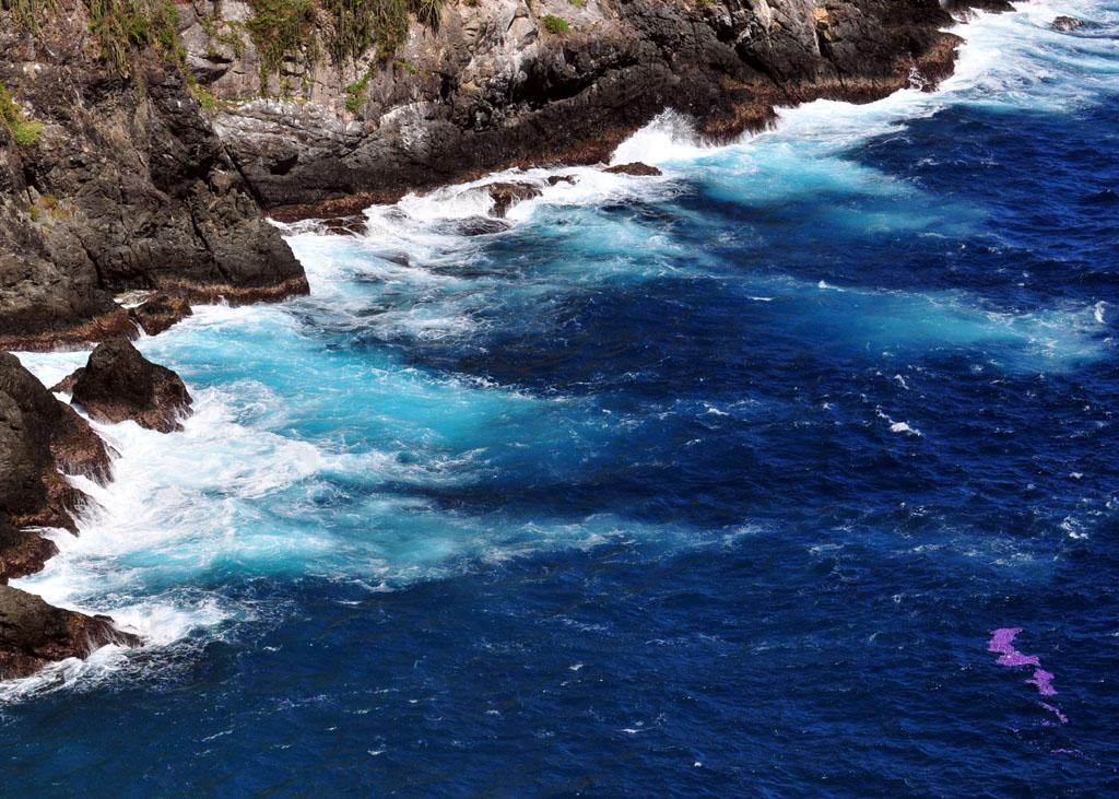 Little Tobago view2