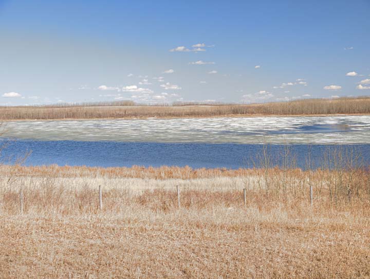 Prairie 6586