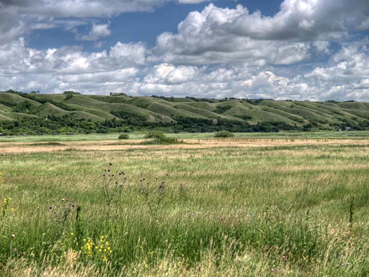 Prairie 1878