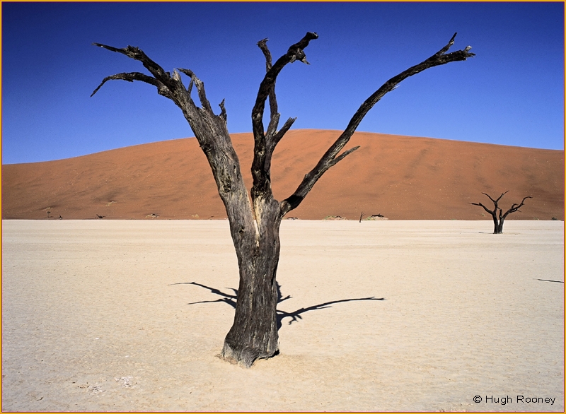 PERSPECTIVE IN THE LANDSCAPE