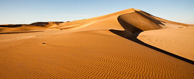 Dune Shapes