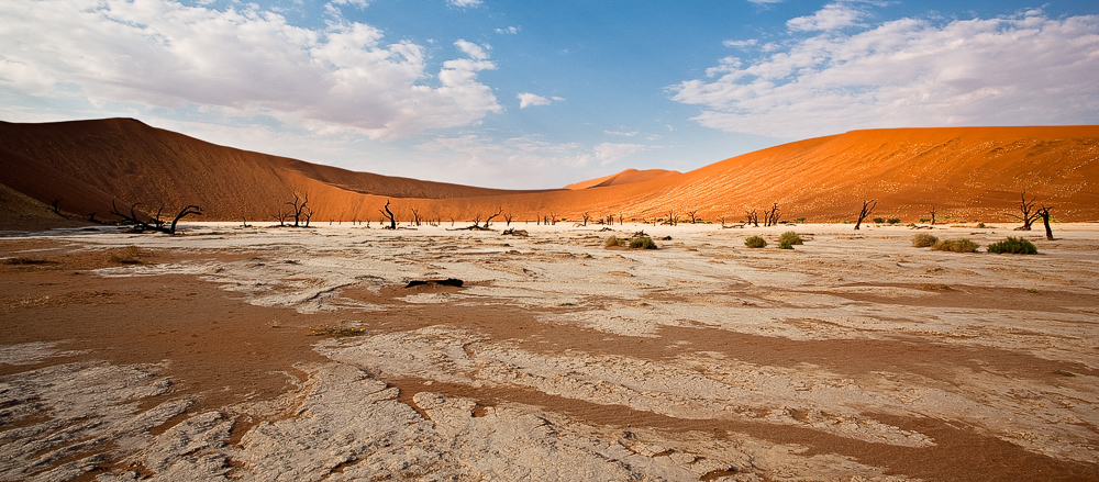 Vast Deadvlei Panorama