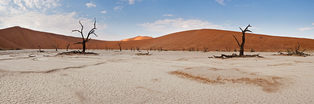 Wide Open Deadvlei Panorama