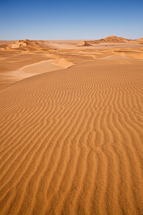 Sand Ripples