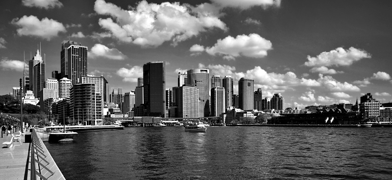 Sydney skyline in bw