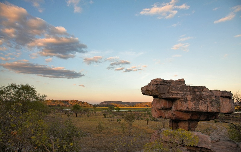 Hawk Dreaming - Mushroom Rock