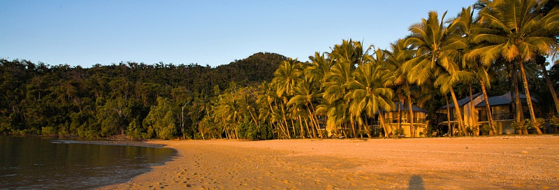 Dunk Island beach and houses pano