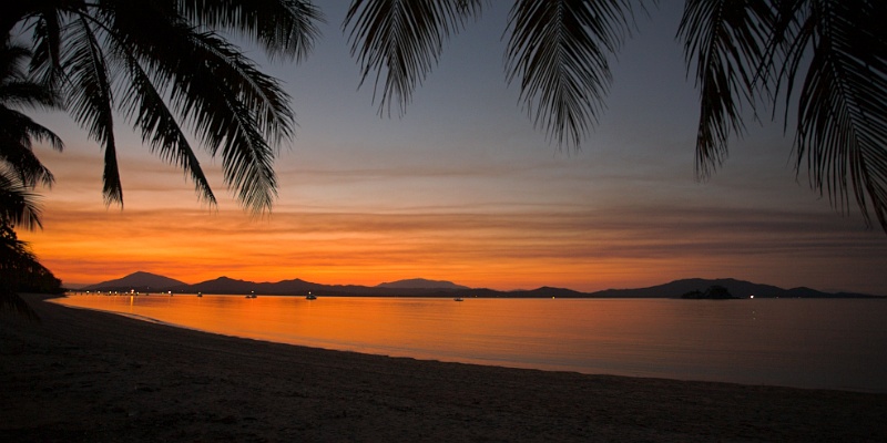 Dunk Island palm tree sunset #2