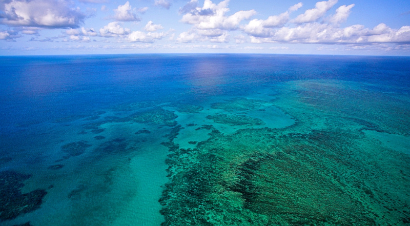 Great Barrier Reef - 7