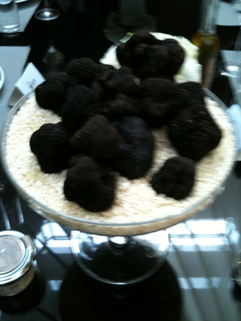 Truffle of MAISON DE LA TRUFFE