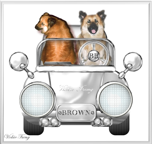 Browns Car
