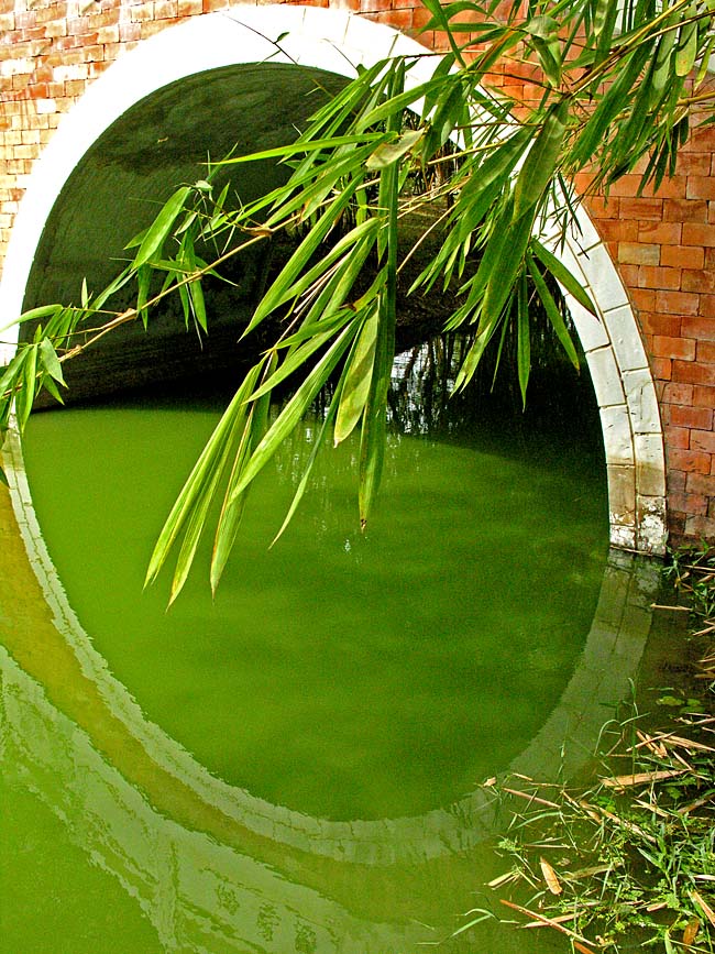 a circle completed in reflection
