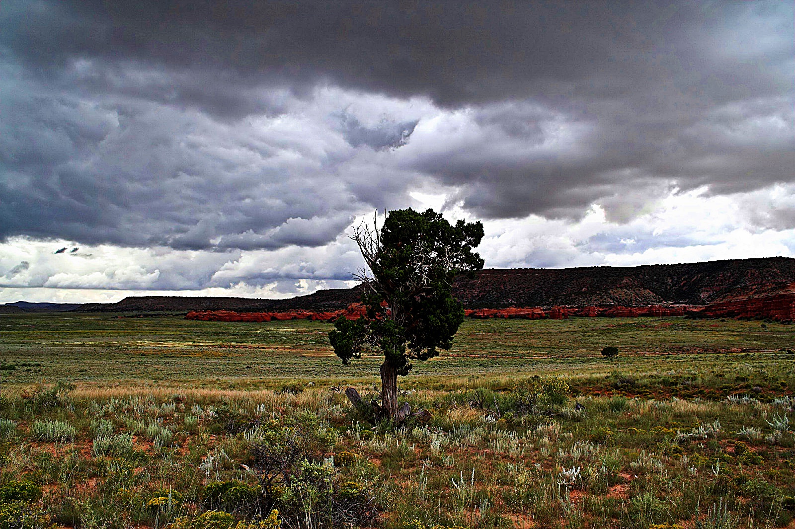 New Mexico