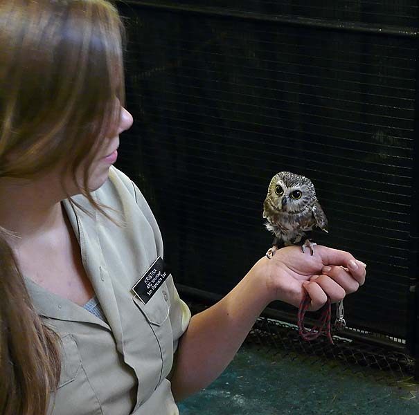 Darwin with Volunteer