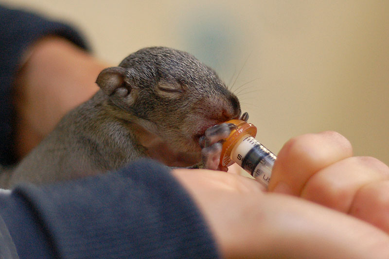 A Hungry Little Fella
