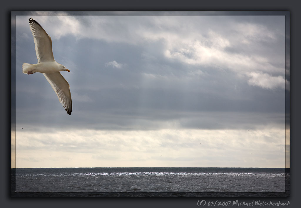 Sylt Seascape