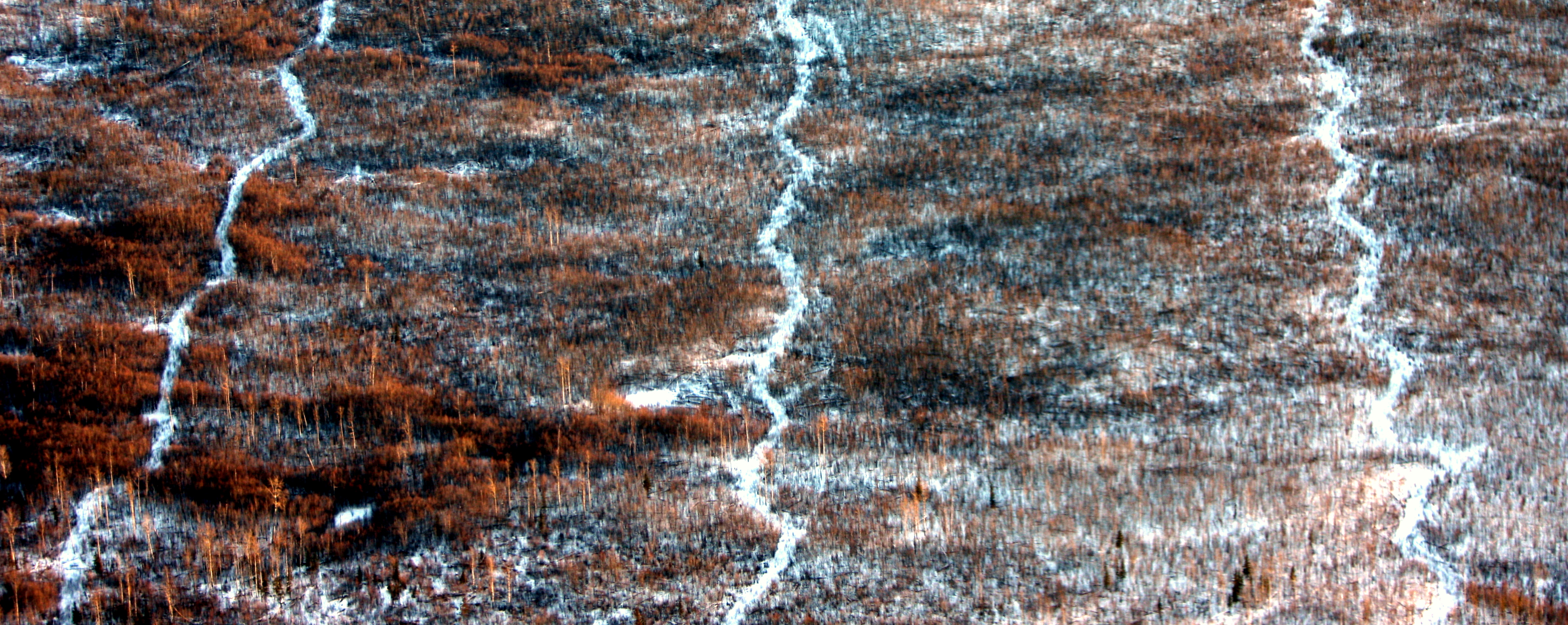 3 WAVY LINES.JPG