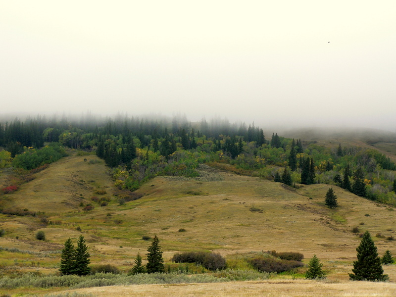 EASTERN SLOPES.JPG
