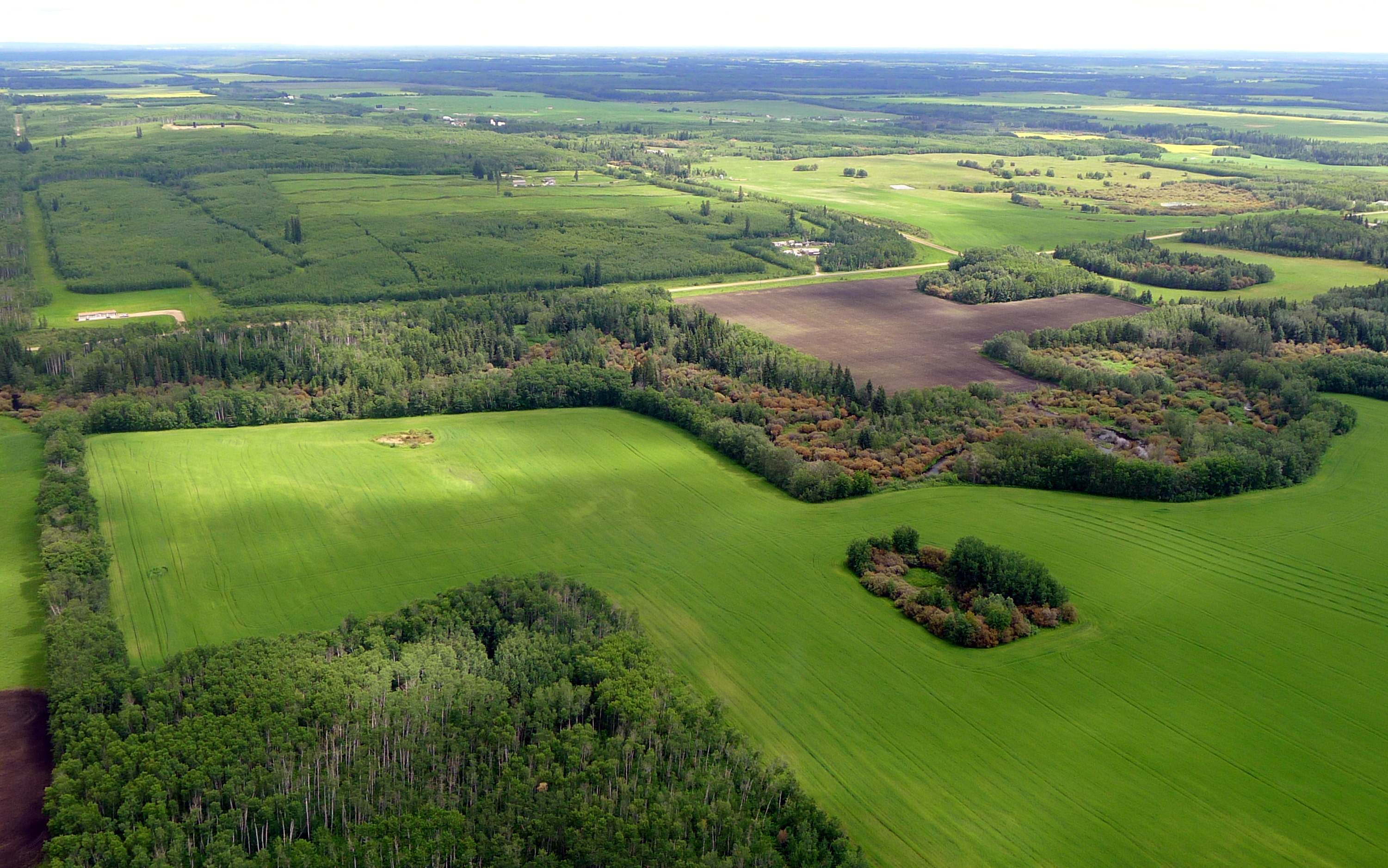 AGRICULTURE INTRUDING INTO THE GREEN ZONE.JPG