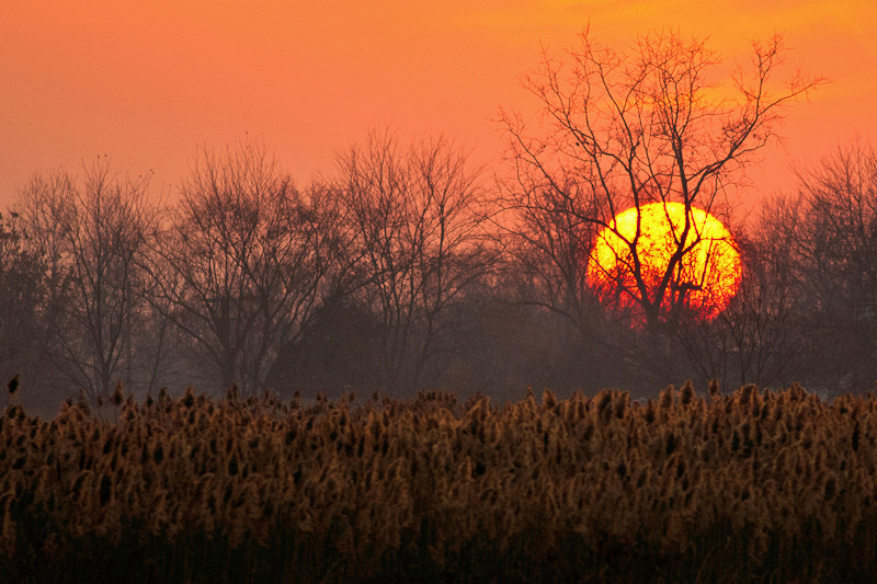 Todays Sunset