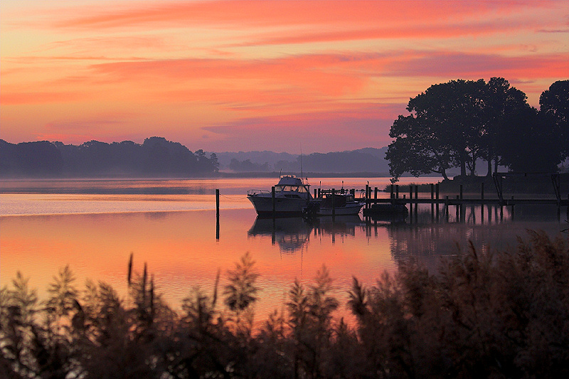 Wye Island Dawn