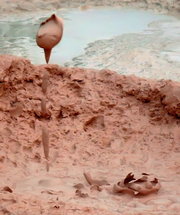 Mudscape