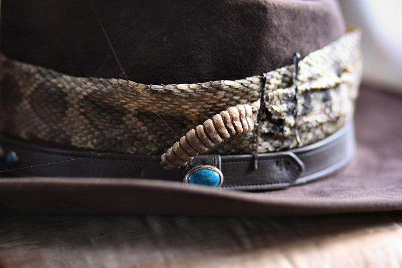 Snakeskin Hatband