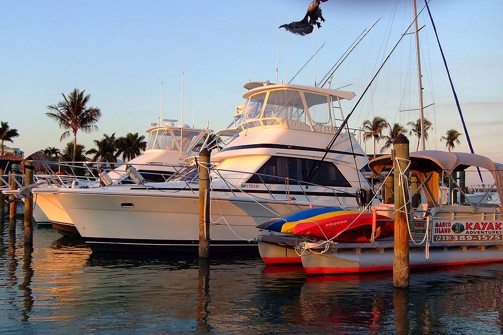 Marco Island Boats.jpg