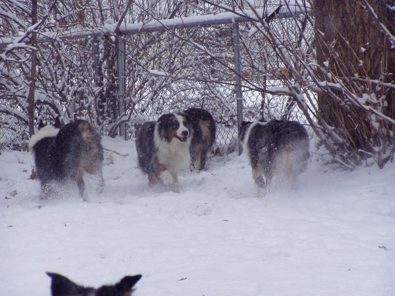 flying through the snow