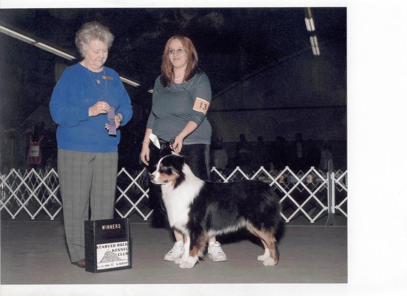 Mandys first Akc pointed dog(Ajax)