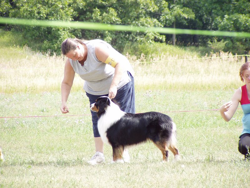 Ajax and Julie