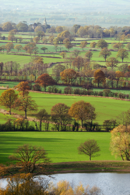 from Brockhill