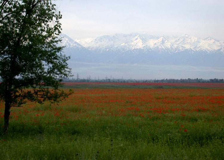 Tien Shan mountains