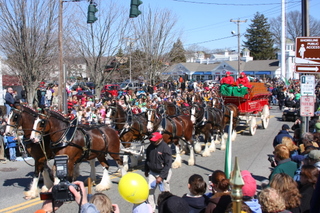 o6/34/753234/1/95015817.qTVPOS4a.20080330_s_horses.JPG