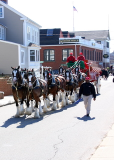 o6/34/753234/1/95015823.ICekE2Dn.20080330_s_horses.JPG
