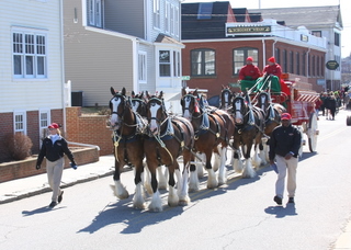 o6/34/753234/1/95015824.Wd8KfL2J.20080330_s_horses.JPG