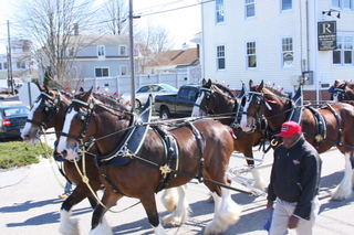 o6/34/753234/1/95015826.t5XpnMvX.20080330_s_horses.JPG