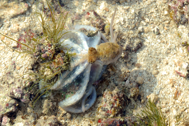 DSC_9330.jpg