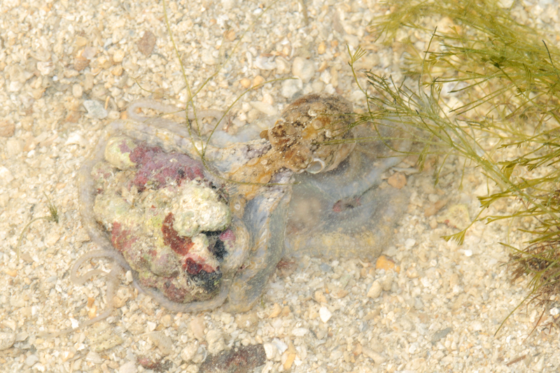 DSC_9334.jpg