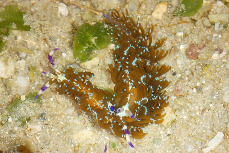 DSC_9902.jpg
