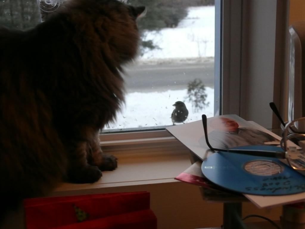 Faceoff