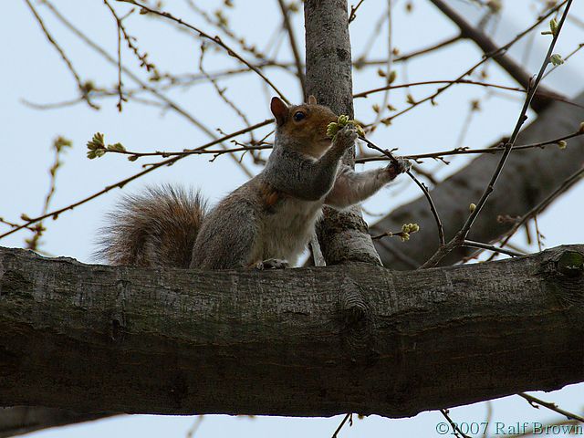 2007-04-04 Snacking