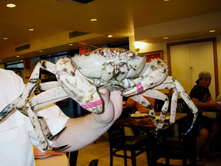Dinner Crab 1985.jpg