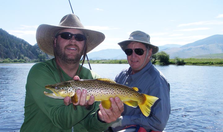 Franks Big Brown Trout 2037.jpg