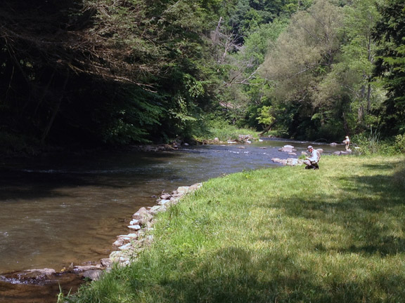 A very productive stretch of Spruce Creek with huge trout 1815.jpg