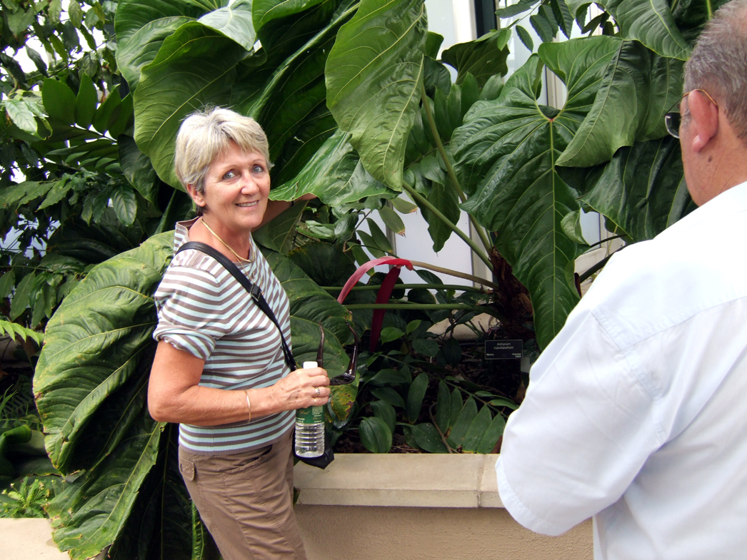 Huntington Gardens - Inside the Conservatory2.jpg