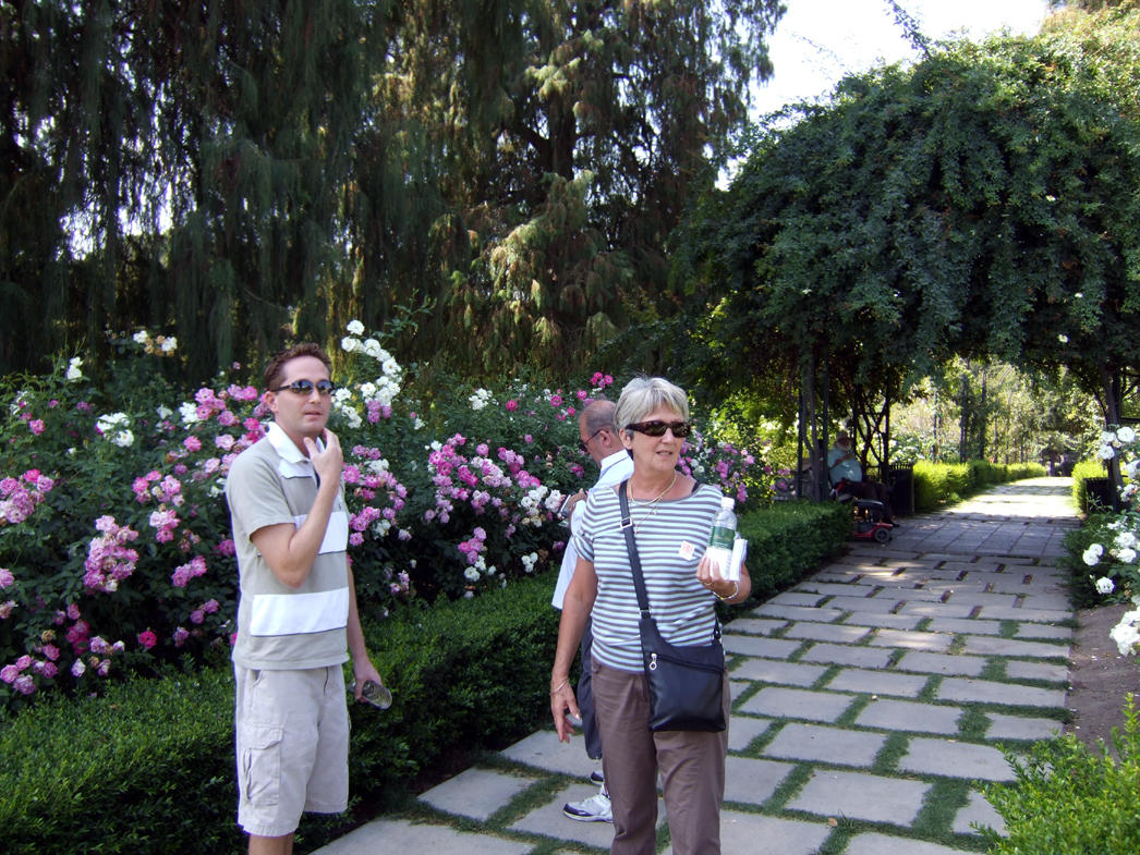 Huntington Gardens - On the way to the Rose Garden.jpg