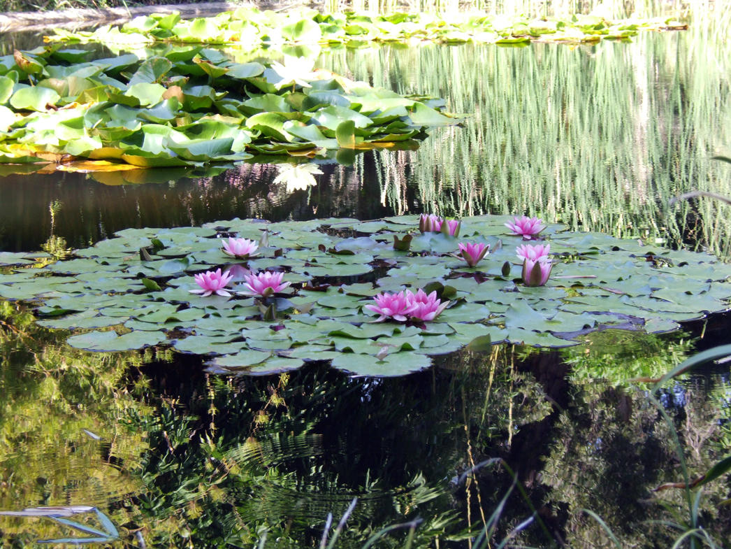 Huntington Gardens.jpg