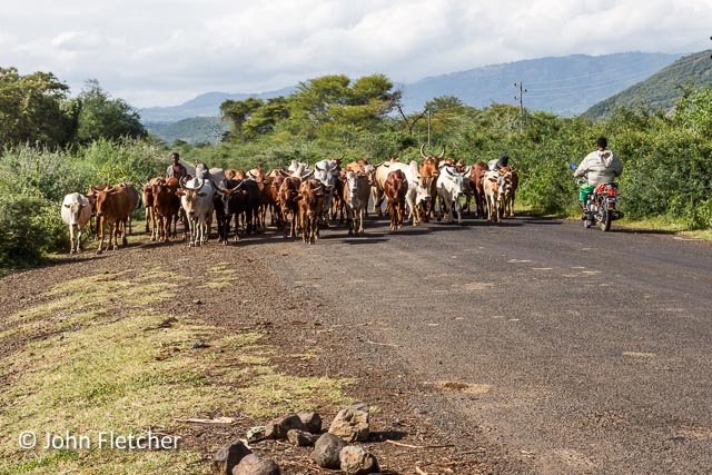 Road Block